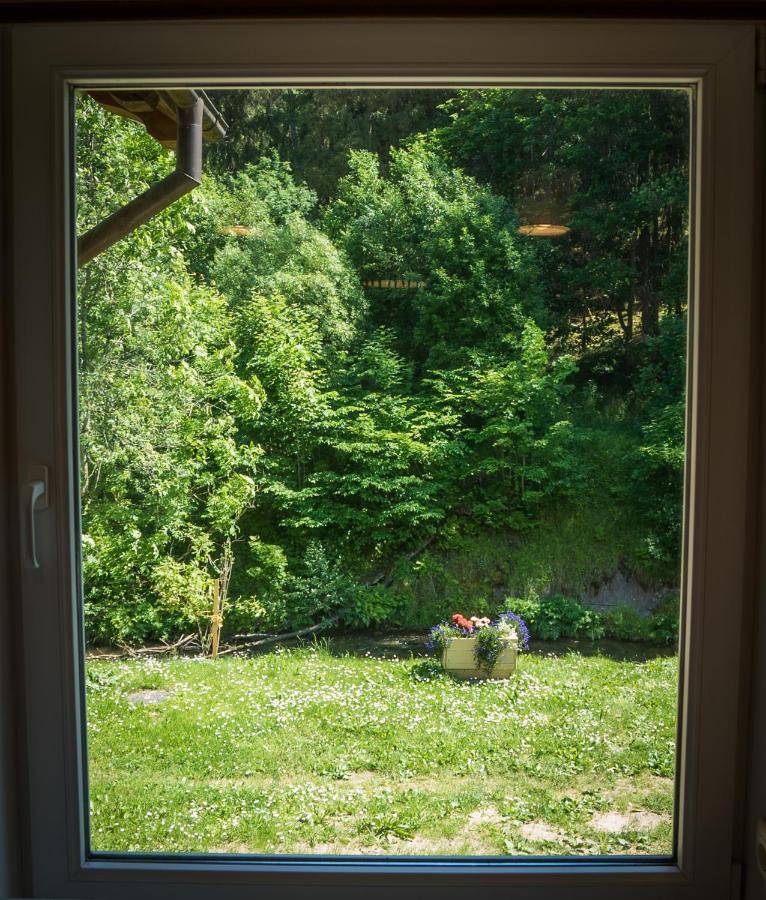 Appartement Near The River With It's Own Entrance *